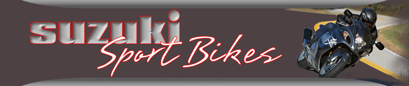 suzuki sport bike motorcycles michigan